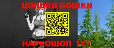 гидра Новозыбков
