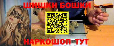 гидра Новозыбков