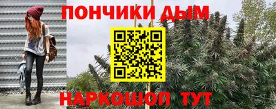 каннабис Новодвинск