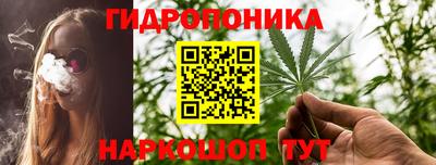 каннабис Новодвинск